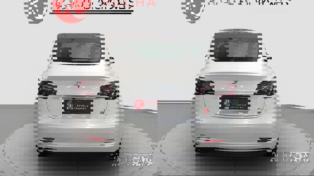 Tesla Model 3 Standard RWD Plus de 2021