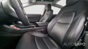 Tesla Model 3 Standard RWD Plus de 2021