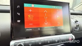 Citroen C4 Cactus de 2019