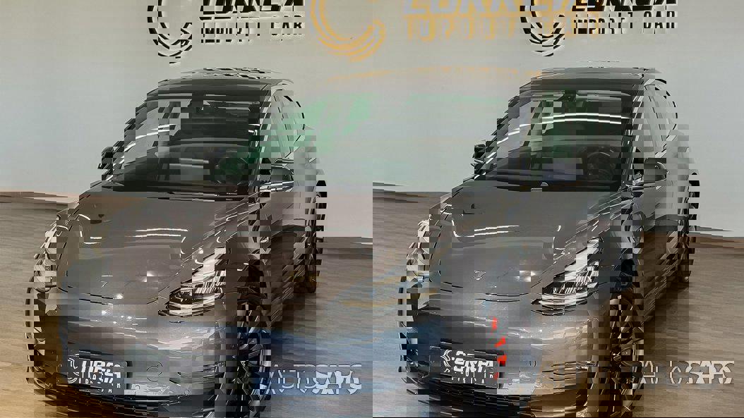Tesla Model 3 Performance Dual Motor AWD de 2019