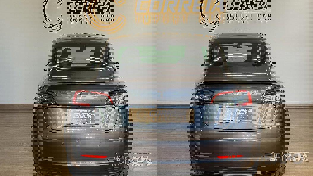 Tesla Model 3 Performance Dual Motor AWD de 2019