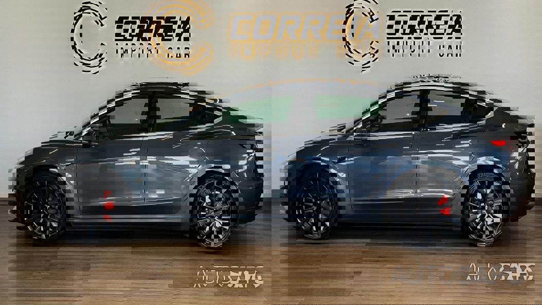 Tesla Model 3 Performance Dual Motor AWD de 2019