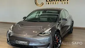 Tesla Model 3 Performance Dual Motor AWD de 2019