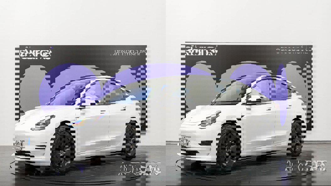 Tesla Model 3 Standard Range Plus RWD de 2021