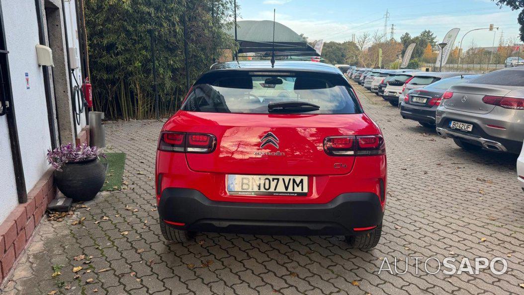 Citroen C4 Cactus 1.5 BlueHDi Shine de 2019