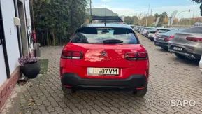 Citroen C4 Cactus 1.5 BlueHDi Shine de 2019