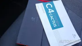 Citroen C4 Cactus 1.5 BlueHDi Feel de 2020