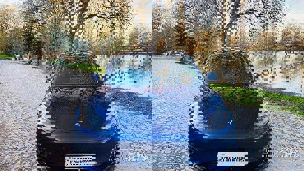 Tesla Model 3 Performance Dual Motor AWD de 2019