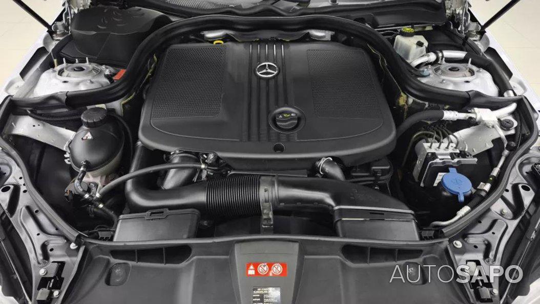 Mercedes-Benz Classe E 250 CDi Avantgarde BE Aut. 140g de 2011