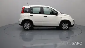Fiat Panda de 2024