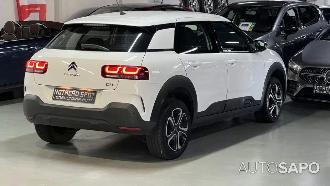 Citroen C4 Cactus 1.5 BlueHDi Shine Pack de 2019