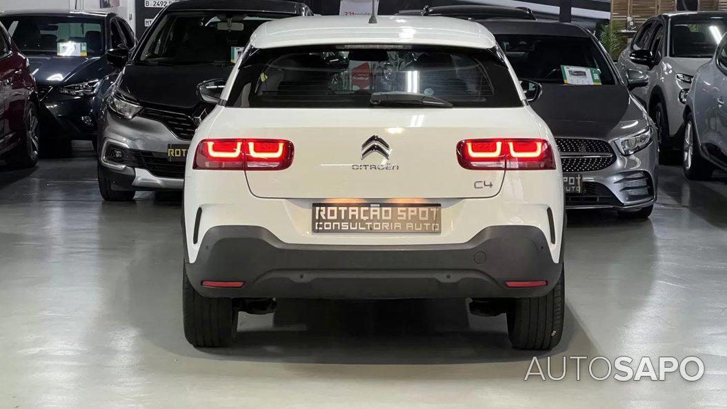 Citroen C4 Cactus 1.5 BlueHDi Shine Pack de 2019
