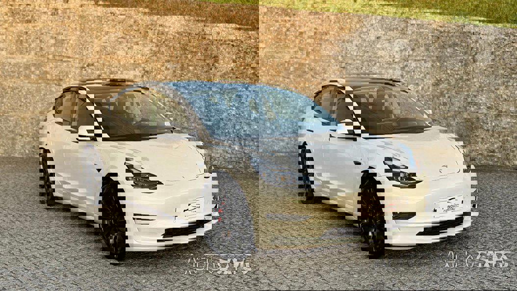 Tesla Model 3 Performance Dual Motor AWD de 2021