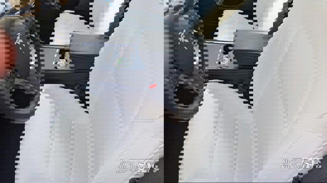 Tesla Model 3 Performance Dual Motor AWD de 2021