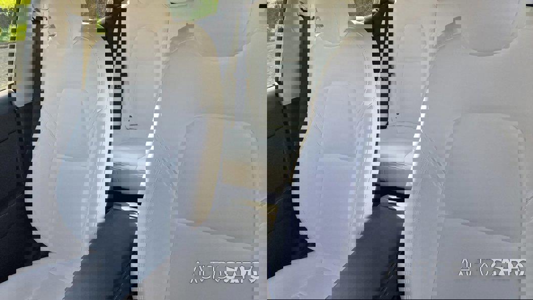 Tesla Model 3 Performance Dual Motor AWD de 2021