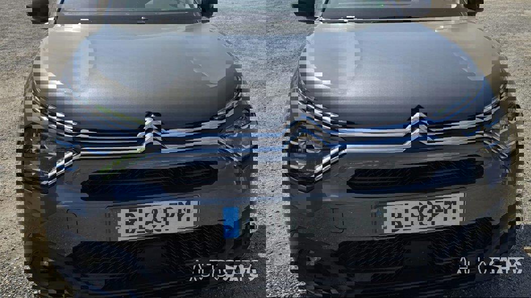Citroen C4 1.5 BlueHDi Shine EAT8 de 2024