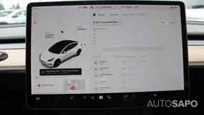 Tesla Model 3 Standard Range Plus RWD de 2021