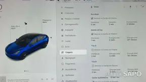 Tesla Model 3 Performance Dual Motor AWD de 2021