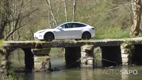Tesla Model 3 Long-Range Dual Motor AWD de 2019