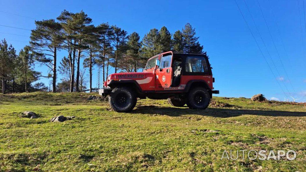 Jeep Wrangler 2.5 Sport Hard Top de 1993