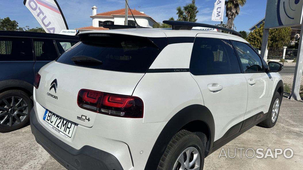 Citroen C4 Cactus 1.5 BlueHDi Origins de 2019