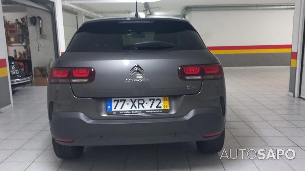 Citroen C4 Cactus 1.5 BlueHDi Shine Pack de 2019