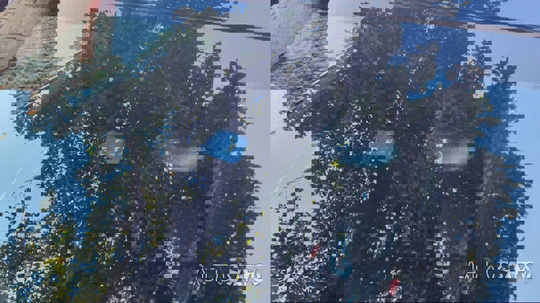 Mercedes-Benz Classe CLA de 2019