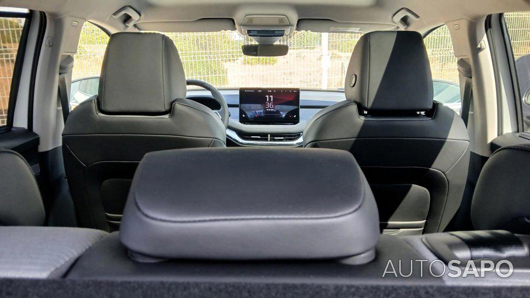 Skoda Enyaq iV 80 de 2024