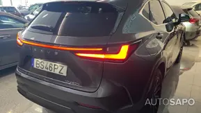 Lexus NX 300h Executive Plus de 2025