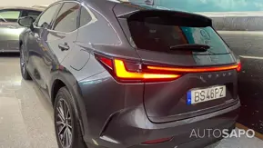 Lexus NX 300h Executive Plus de 2025