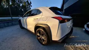Lexus UX 250h Business de 2021