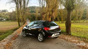Seat Ibiza de 2010