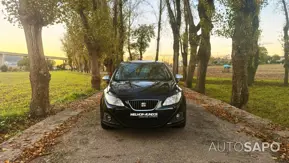 Seat Ibiza de 2010