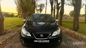 Seat Ibiza de 2010