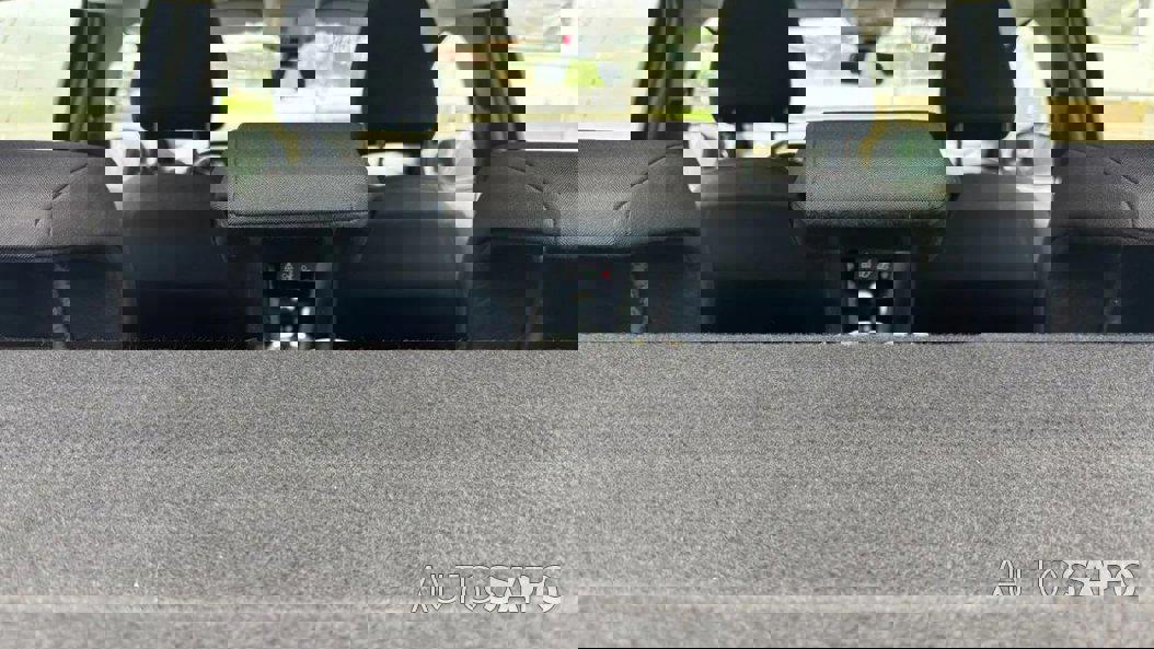 Peugeot 208 1.5 BlueHDi Active Business de 2020