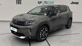 Citroen C5 AirCross 1.5 BlueHDi 130 S&S EAT8 Feel de 2024