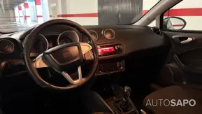 Seat Ibiza de 2010
