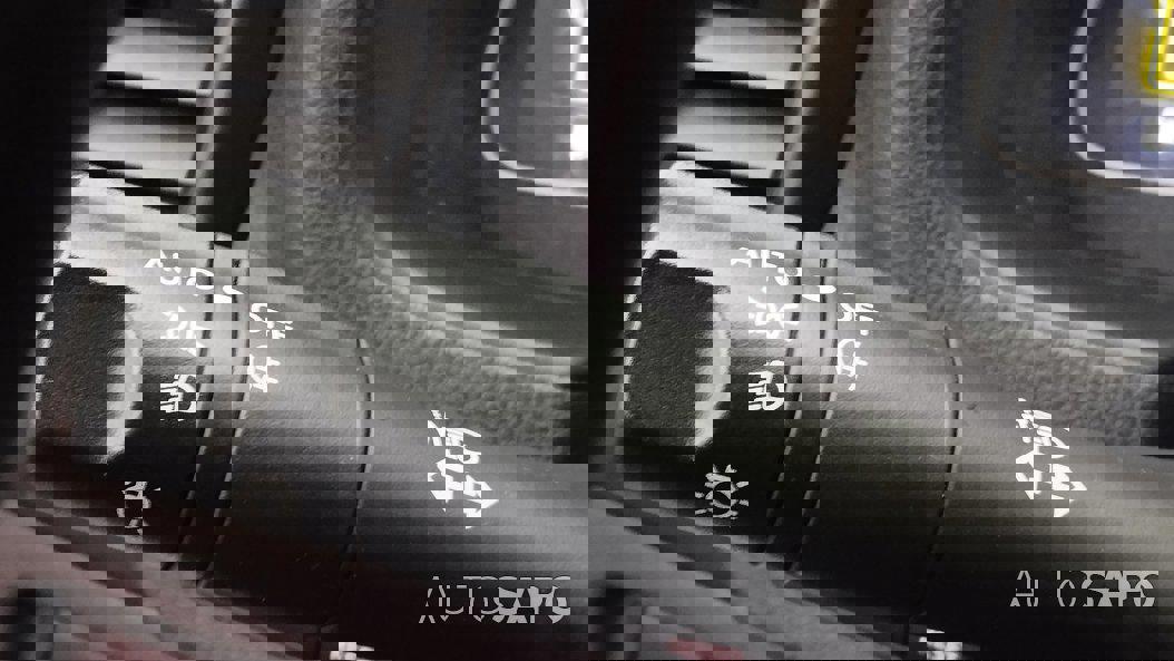 Nissan Leaf Acenta de 2019