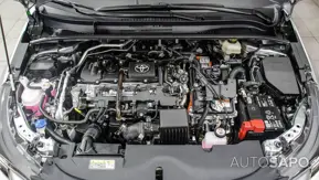 Toyota Corolla de 2025