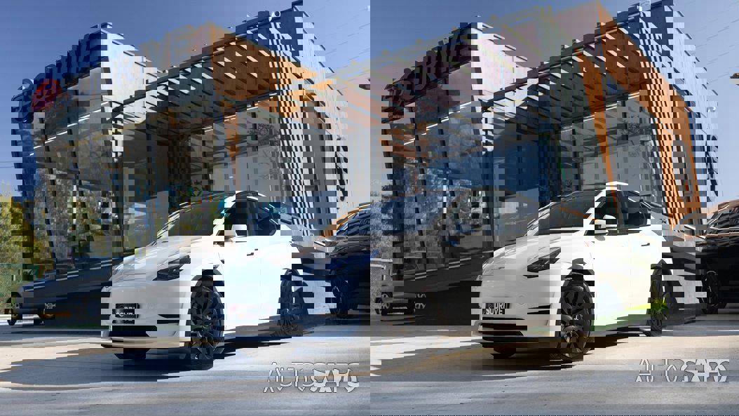 Tesla Model Y Standard RWD de 2022