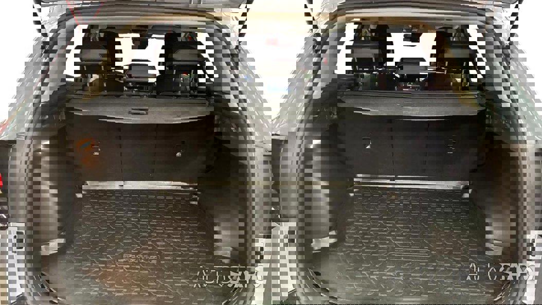 Kia Sportage de 2023