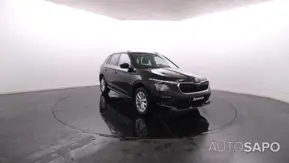 Skoda Kamiq de 2024