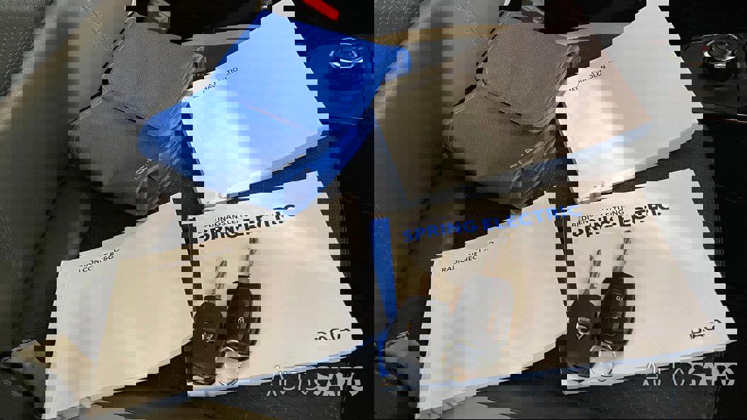 Dacia Spring de 2022