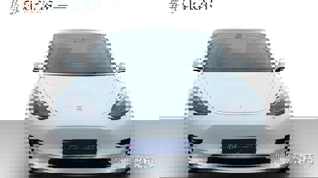 Tesla Model 3 Standard Range Plus RWD de 2021