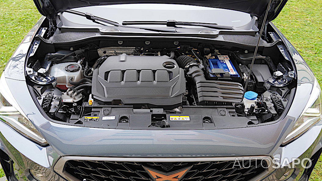 Cupra Formentor 2.0 TDI Cupra de 1968