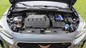 Cupra Formentor 2.0 TDI Cupra de 1968