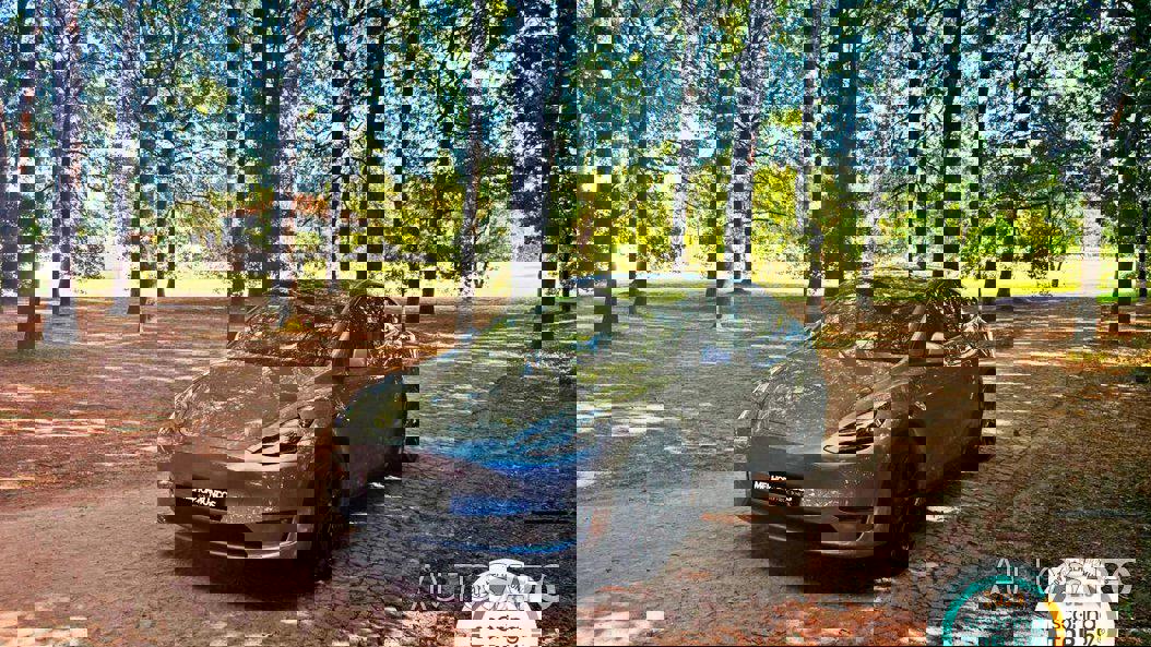 Tesla Model Y Performance Dual Motor AWD de 2023