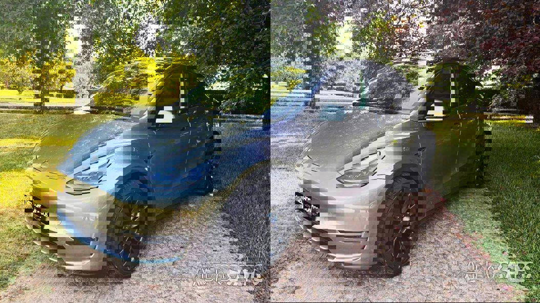 Tesla Model Y Performance Dual Motor AWD de 2023