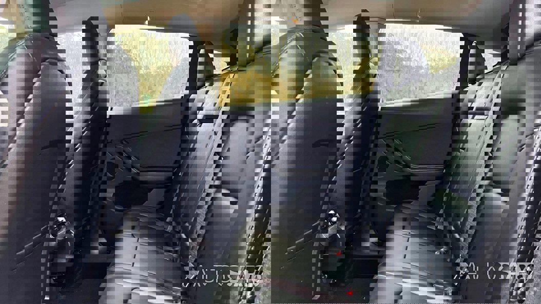 Tesla Model Y Performance Dual Motor AWD de 2023