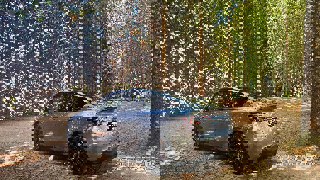 Tesla Model Y Performance Dual Motor AWD de 2023